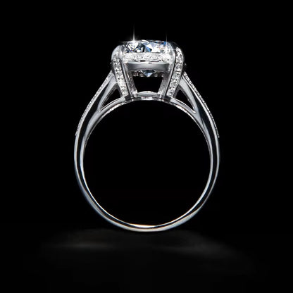 ✨Moissanite Round Pave Halo Ring