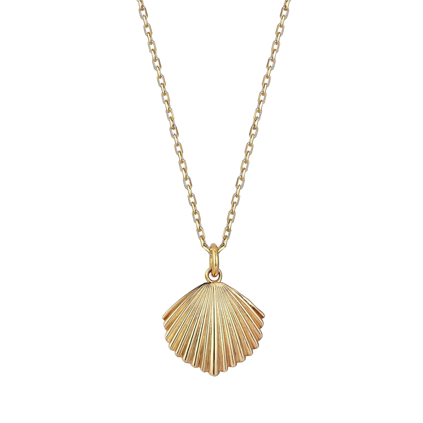 The Seashell Necklace Pendant